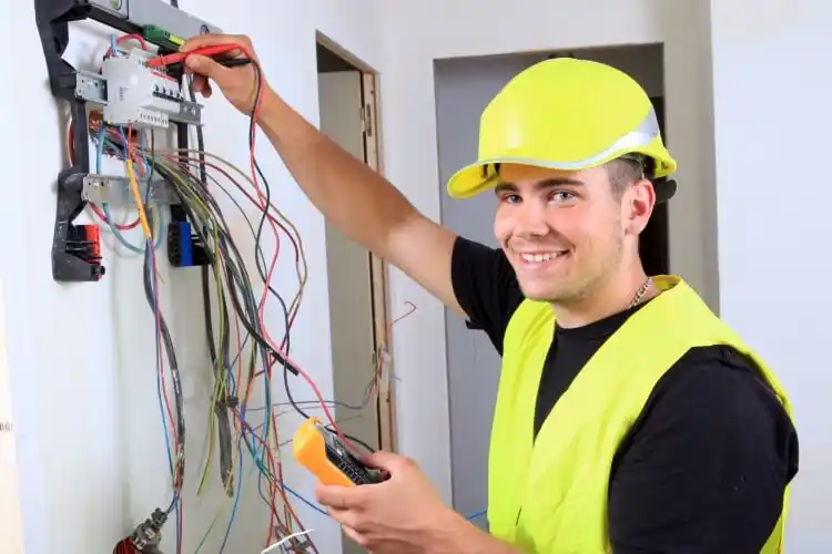 elektricien Witte Paarden